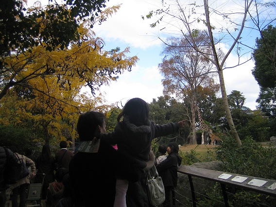 10.11.23動物園1.jpg