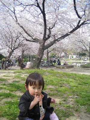 住吉公園の桜2.JPG