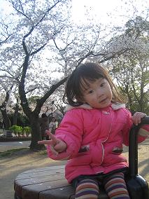 公園の桜.JPG